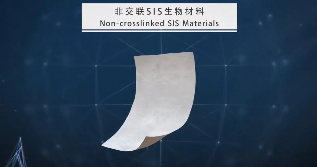 SIS биорезорбируемые сетки