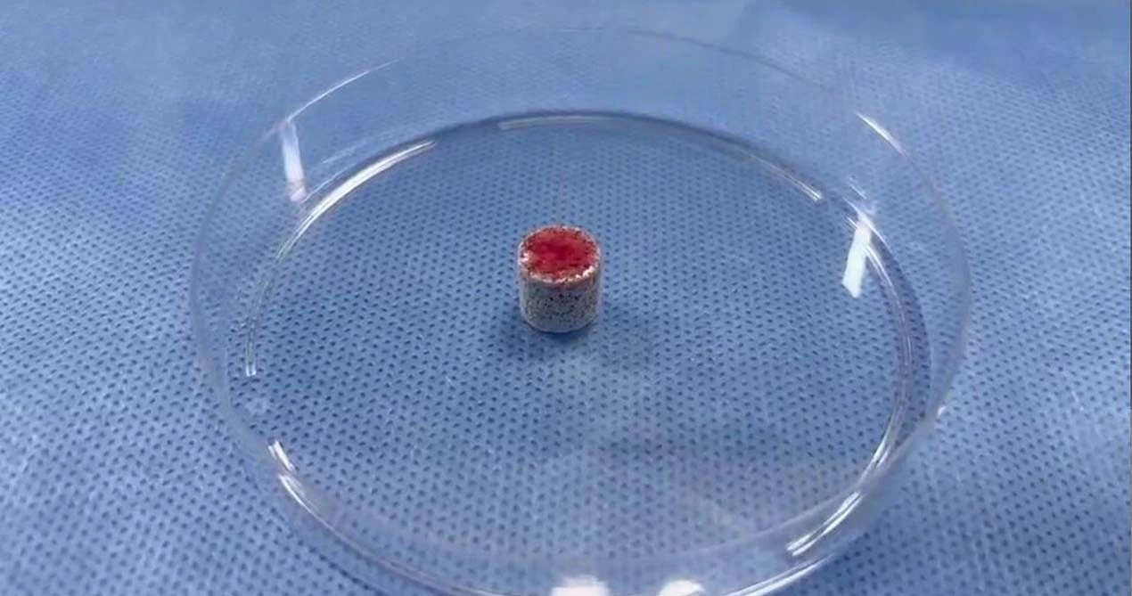 Материал прививки кости